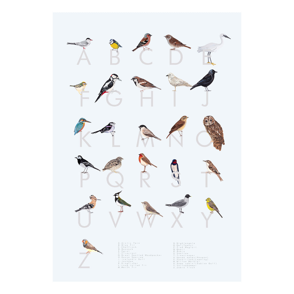 An A-Z guide of British Birds! A digital print on archival paper.Light grey background, with each bird sitting on top of a dark grey letter of the alphabet. British Garden birds including a robin, an owl a woodpecker, a swallow and a long tailed tit. A perfect gift for a birds and wildlife lover or twitcher   