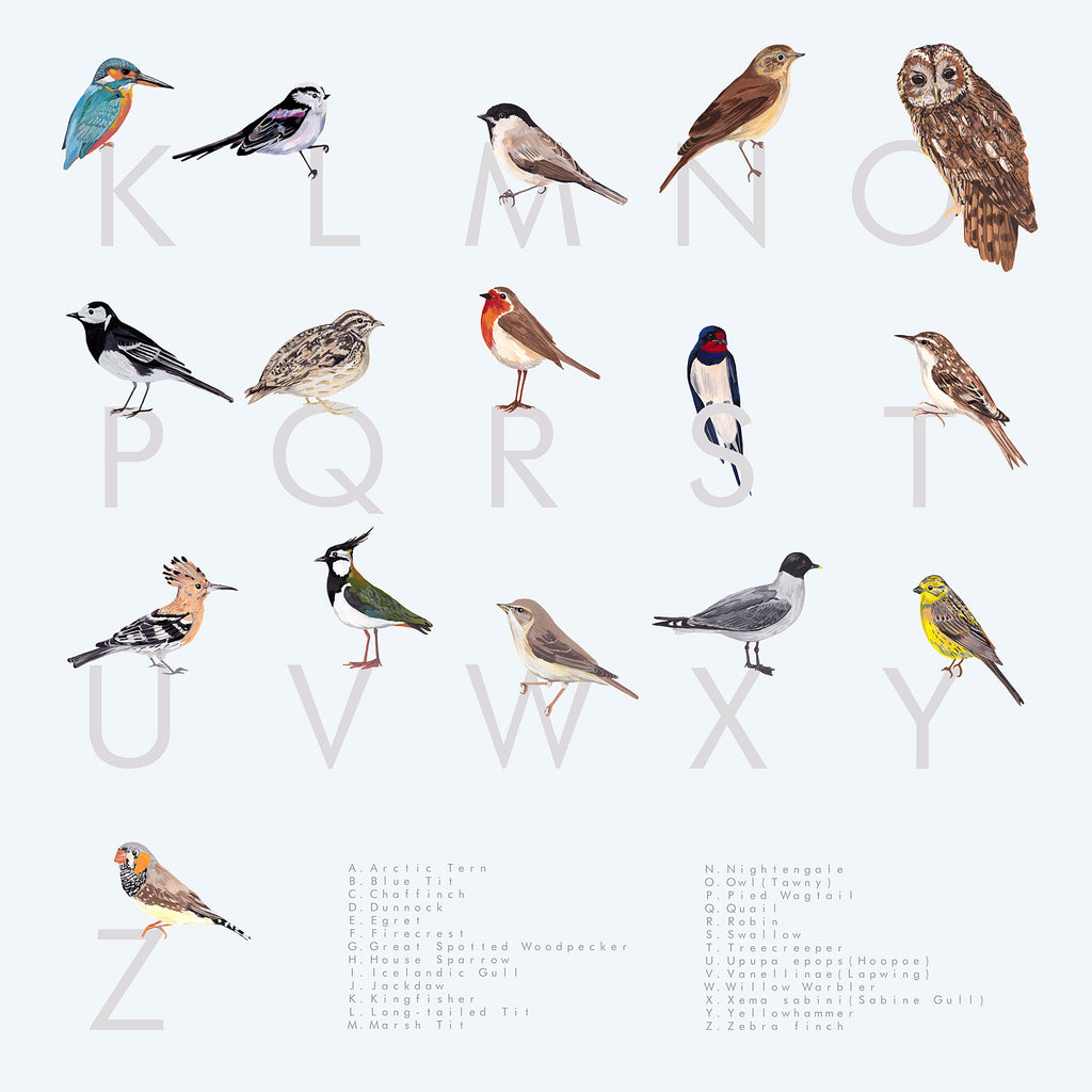 An A-Z guide of British Birds! A digital print on archival paper.Light grey background, with each bird sitting on top of a dark grey letter of the alphabet. British Garden birds including a robin, an owl a woodpecker, a swallow and a long tailed tit. A perfect gift for a birds and wildlife lover or twitcher   